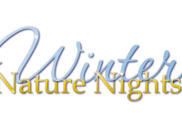 Winter Nature Nights