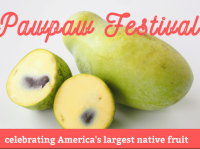Annual Pawpaw Festival