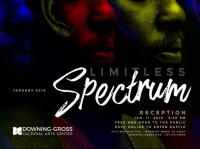 Limitless Spectrum Exhibit
