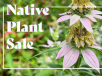 Spring Native Plant Sale